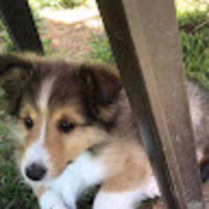 Meet your Posher, Rorie